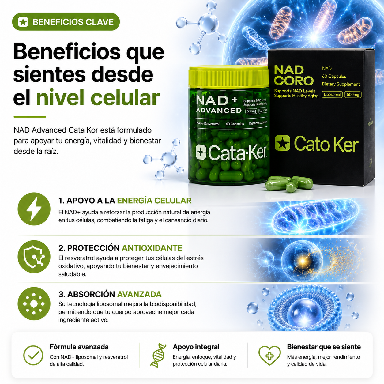 NAD ADVANCED CATA KOR + RESVERATROL | ENERGÍA CELULAR PREMIUM ⚡🧬