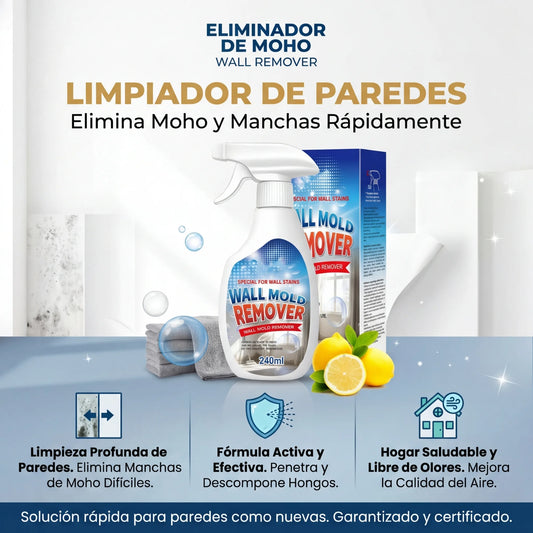 Limpiador Antimoho Intensivo Fiell